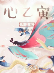 心乙寅升级记